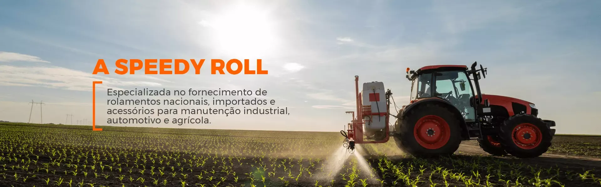 Rolamentos em São Paulo